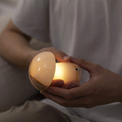 mushroom-onyx-lamp-wireless-portable-touch-control-adjustable-light.jpg