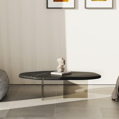 AquaFlow Black Marquina marble coffee table with sculptural clear acrylic supports